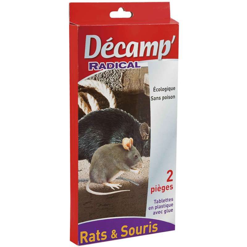Piège à glue pour rats