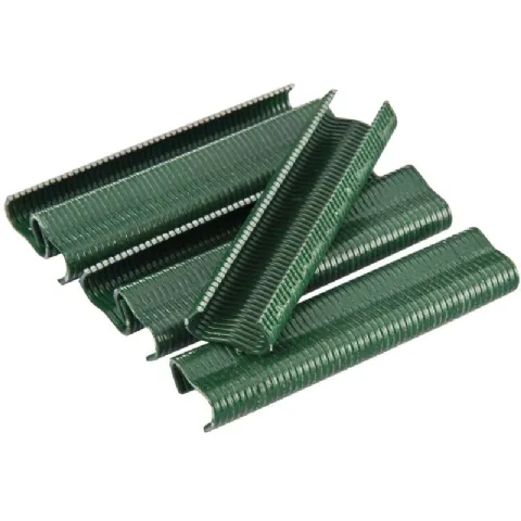 Agrafes a grillage plastifiées 300 pièces