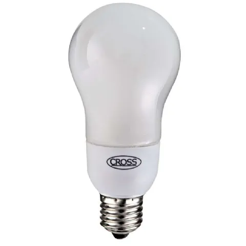 Ampoule basse consommation ronde 15w E27
