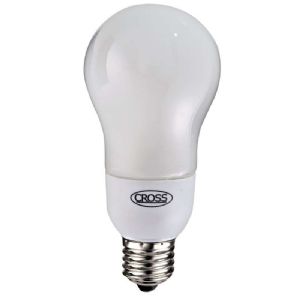 Ampoule basse consommation ronde 15w E27