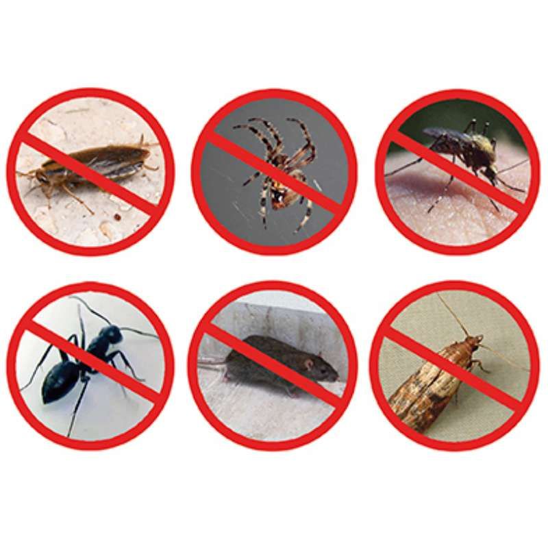 Anti-nuisibles Pest Reject Pro 300m²