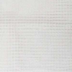 Bâche transparente 160 g/m² Werkapro