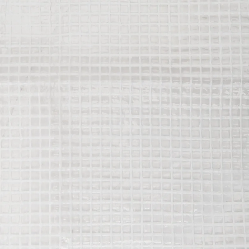 Bâche transparente 160 g/m² Werkapro