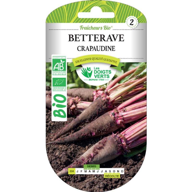 Graines Betterave Crapaudine BIO Les Doigts Verts - Provence Outillage