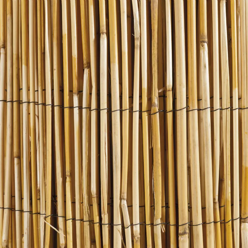 Canisse en roseau naturel Werkapro (1x10m)