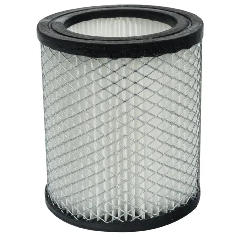 Cartouche filtre pour aspirateur à cendres Werkapro