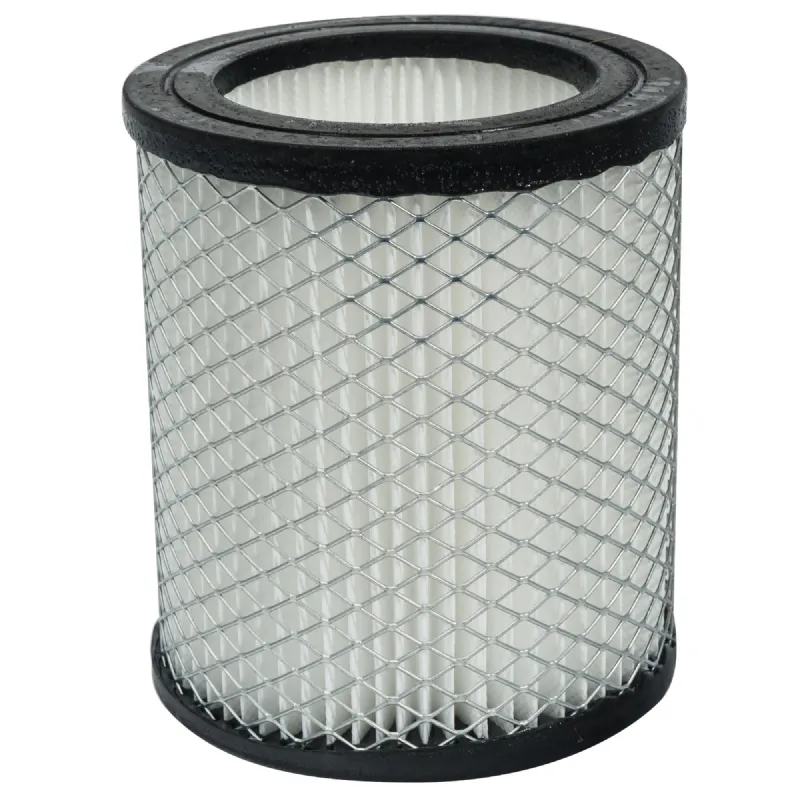 Cartouche filtre pour aspirateur à cendres Werkapro