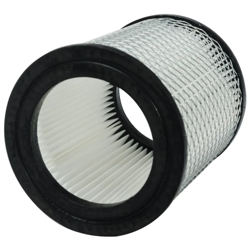 Cartouche filtre pour aspirateur à cendres Werkapro