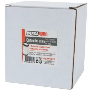 Cartouche filtre pour aspirateur à cendres Werkapro
