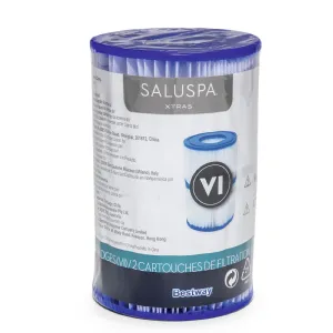 Cartouche pour spa bestway TYPE VI 2pcs