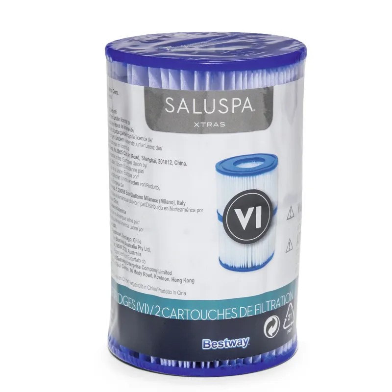 Cartouche pour spa bestway TYPE VI 2pcs