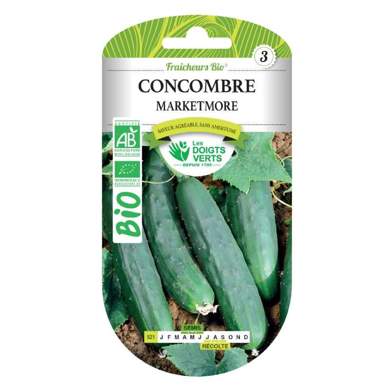 Graines concombre marketmore BIO Les Doigts Verts