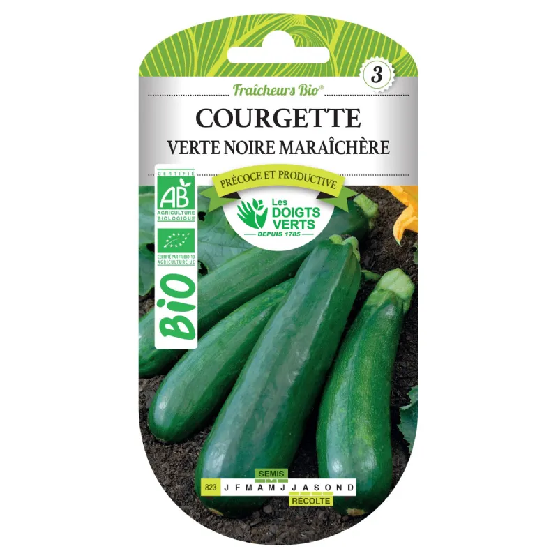 courgette verte noire maraîchère BIO - Provence Outillage