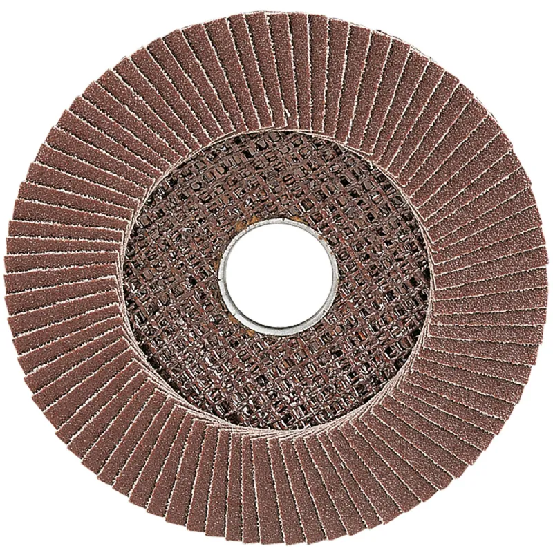 Disque à lamelles