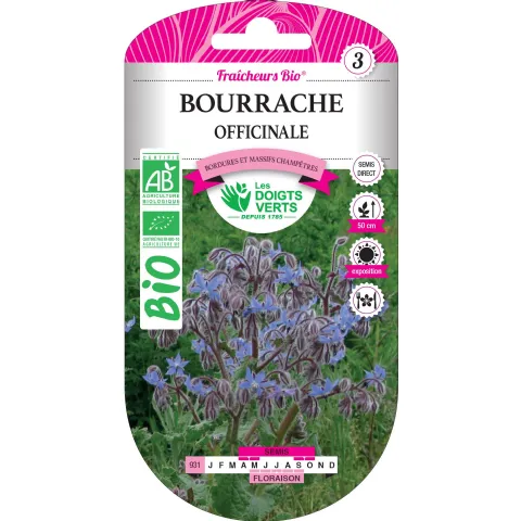 Graines bourrache officinale BIO Les Doigts Verts