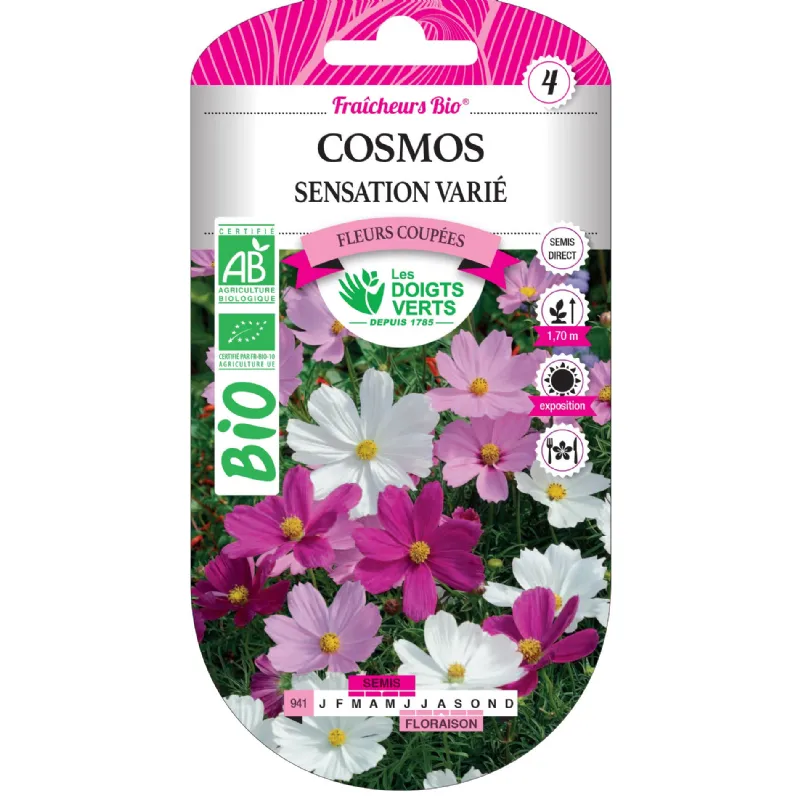 Graines cosmos sensation varié BIO Les Doigts Verts