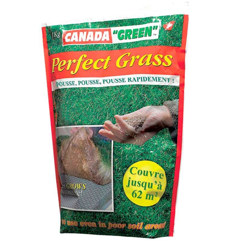 Gazon canada green perfect grass 1kg