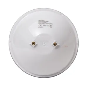 Lampe ampoule pour piscine blanche LED PAR56