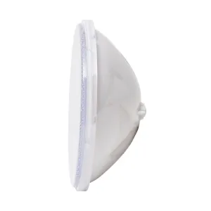 Lampe ampoule pour piscine blanche LED PAR56