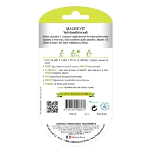 Graines de mâche vit BIO Les Doigts Verts