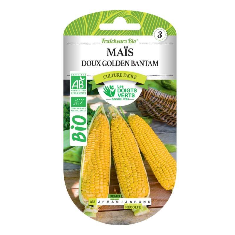 Graines maïs doux Golden Bantam BIO Les Doigts Verts