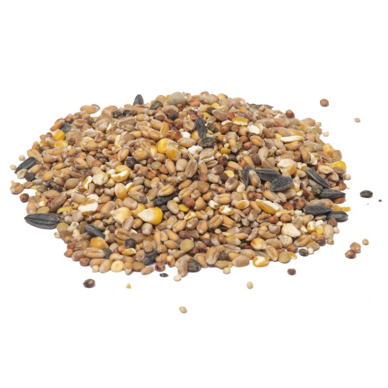 25 Kg De Nourriture Pour Oiseaux Sauvages Toute L'annÃ©e - MÃ©lange De