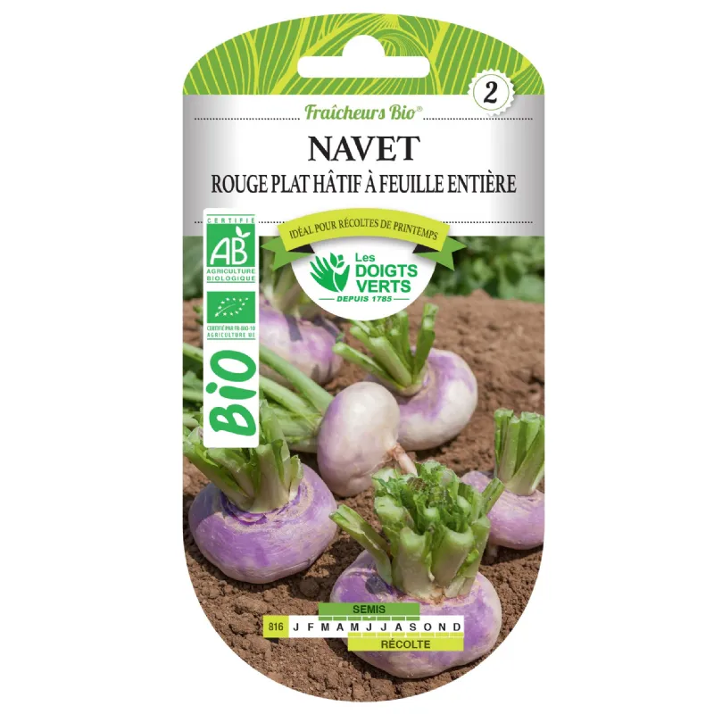 Graines navet rouge plat hâtif BIO Les Doigts Verts