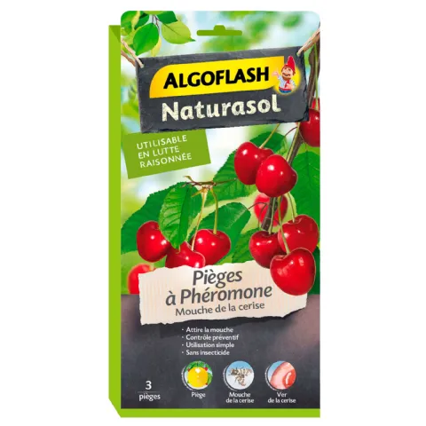 Piège à phéromone mouche de la cerise 3 pcs
