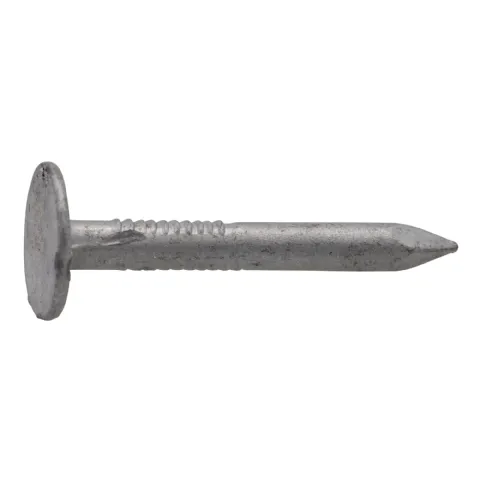 Pointe acier galvanisé Viswood tête plate