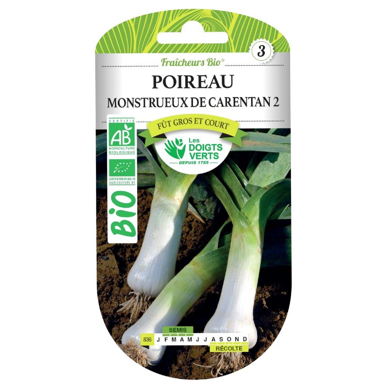 Graines De Poireau De Carentan 2 - Lot De 250 - Variété Rustique Pour Potager