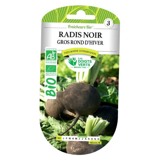 Graines De Radis Noir D'hiver De Paris - Sachet 10g, Légume Racine, Par Les Graines Bocquet