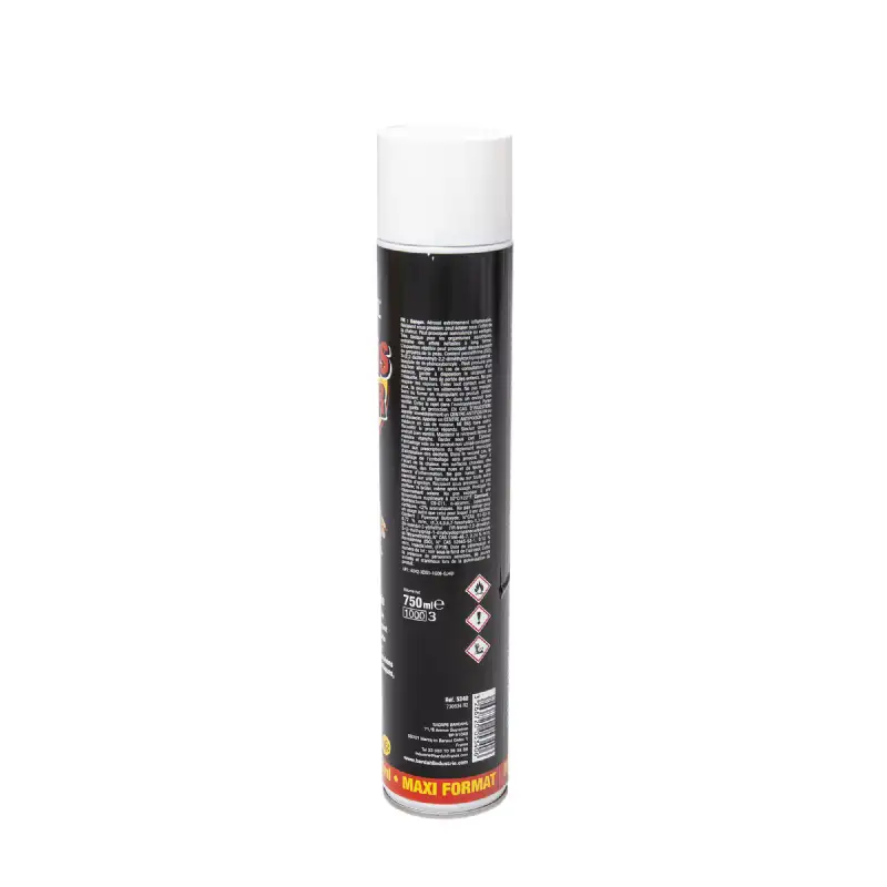 Insecticide Aérosol Frelon 750ml BARDAHL