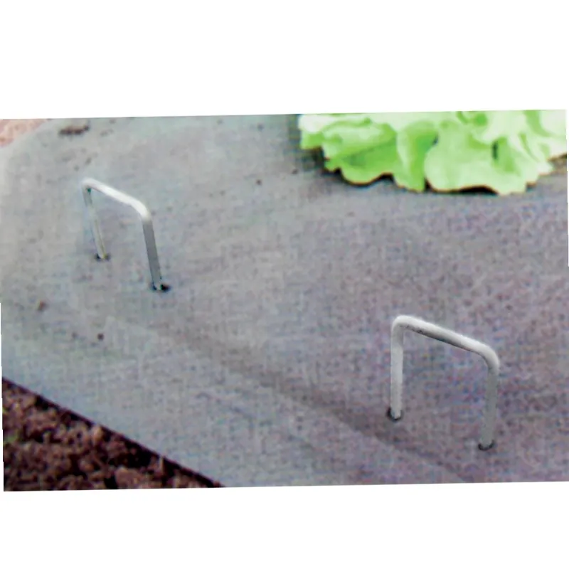 Clous De Marquage Galvanisés Pour Arpentage - Lot De 10 - 7 Cm - Réutilisables, Terrain, Jardin