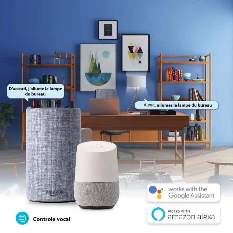 Ampoule LED Connectée 5.5W E14