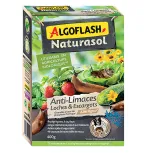 Anti-Limaces, Loches & Escargots - ALGOFLASH