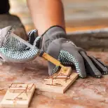 Attractif pour pièges à souris et rats