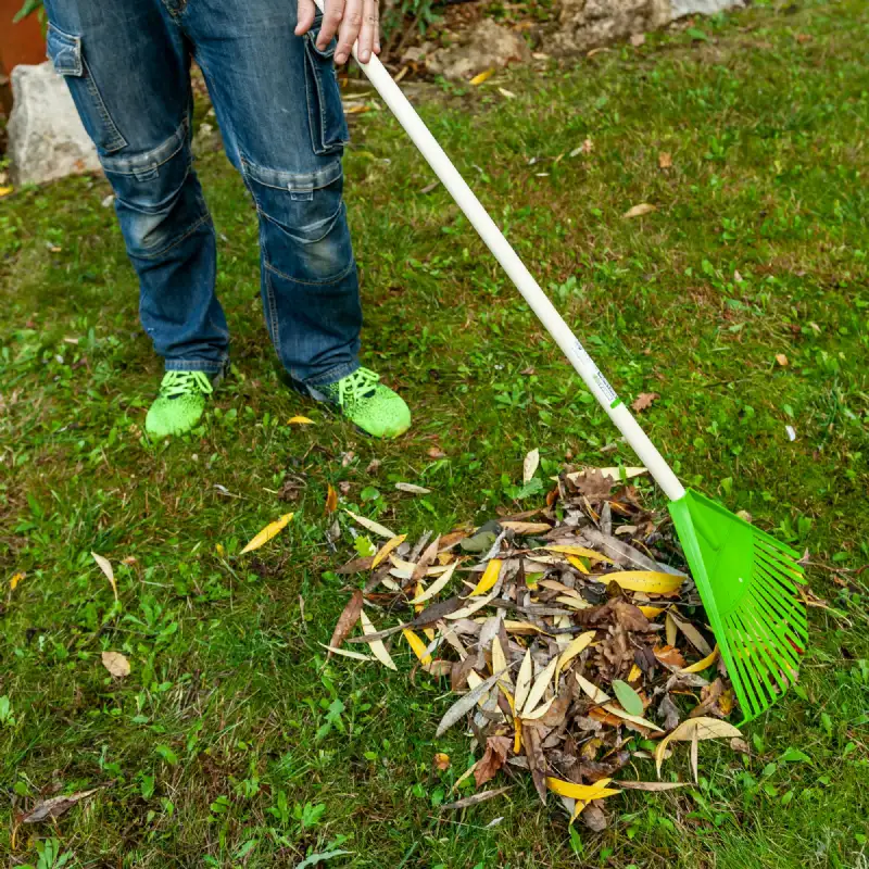 Balai à feuilles 16 dents WERKA PRO