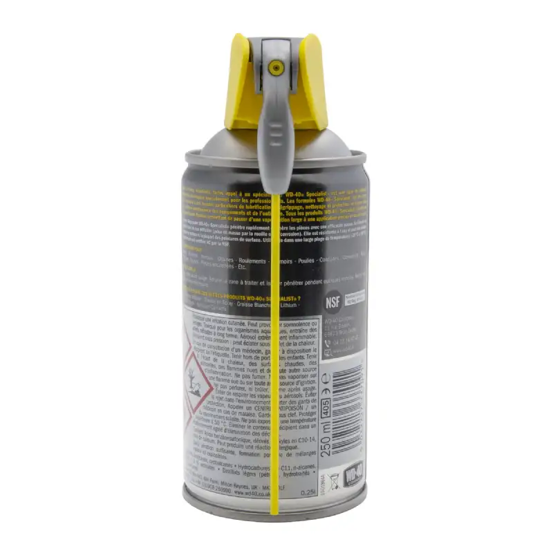 Bombe Super dégrippant WD40 250ml