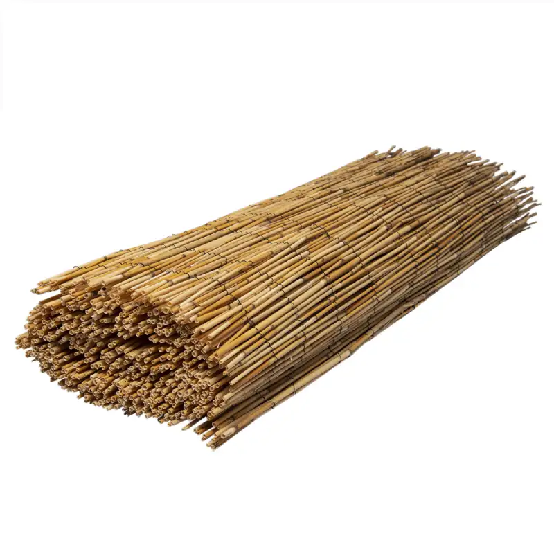 Canisse en roseau naturel WERKA PRO (Longueur 5 m)