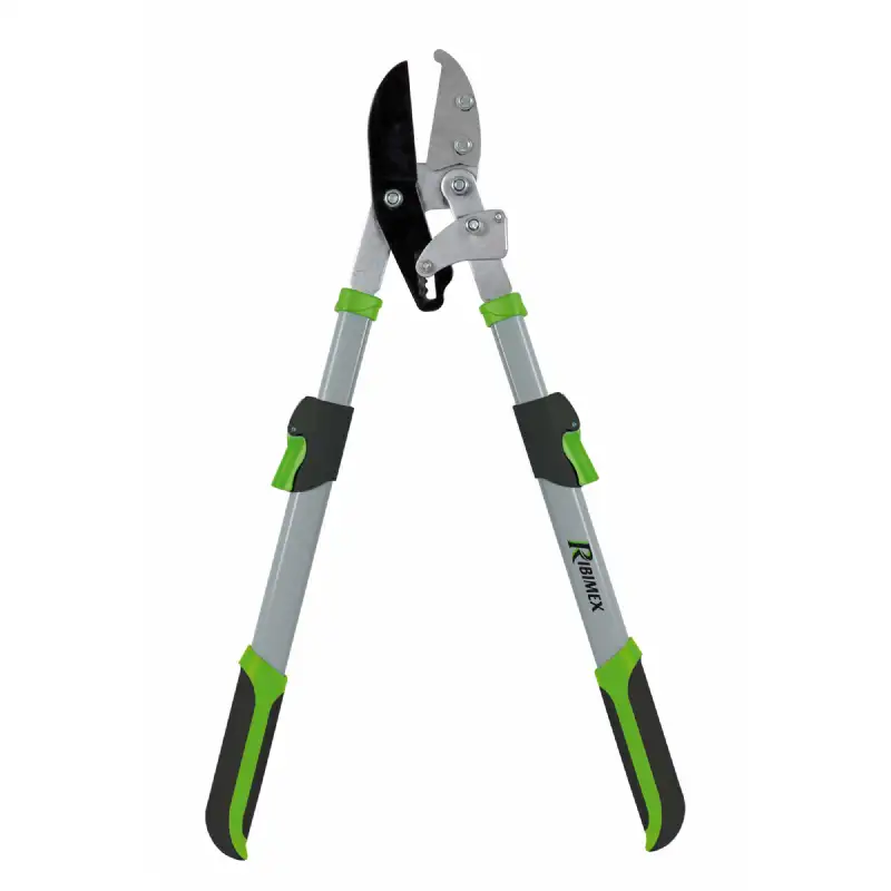 Cisaille télescopique démultipliée