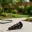 Raccord pour cuve citerne souple WERKA PRO