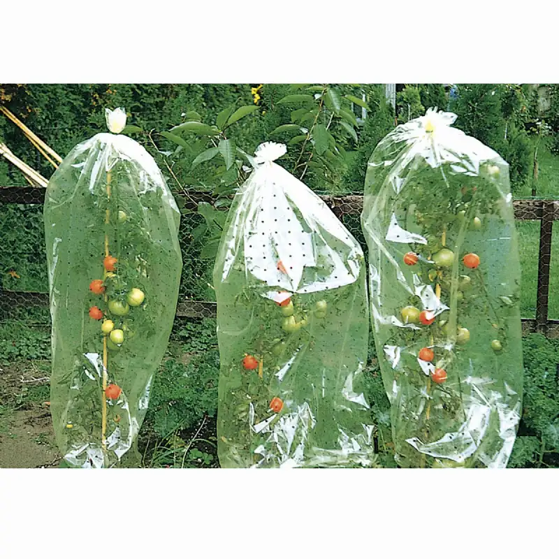 Housse perforée pour tomates