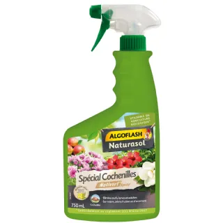 Insecticide prêt à l'emploi spécial cochenilles - ALGOFLASH