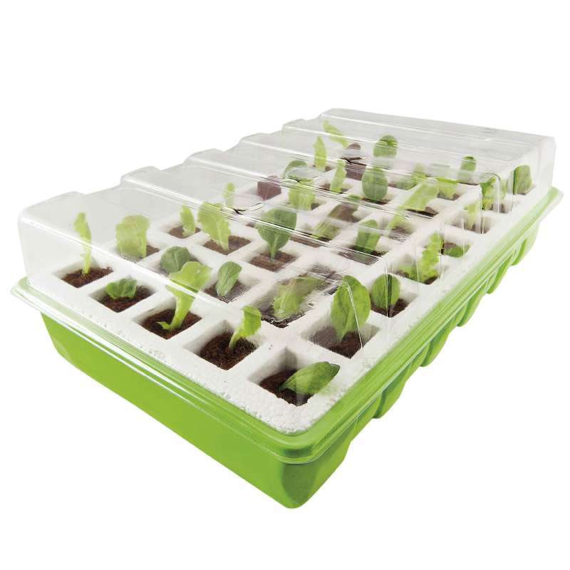 Kit de germination avec 40 godets,