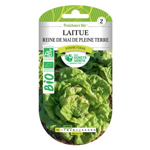 Graines laitue Reine de Mai de Pleine Terre BIO Les Doigts Verts - Les doigts verts - 2,79€ Graines laitue Reine de Mai de Pleine Terre BIO Les Doigts Verts