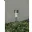 Lampe borne solaire 6 pièces WERKA PRO