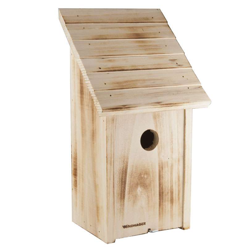 Nichoir à oiseau bois naturel