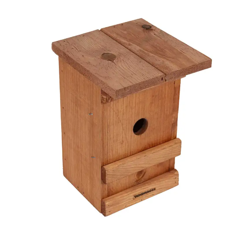 Nichoir à oiseaux en bois massif verni