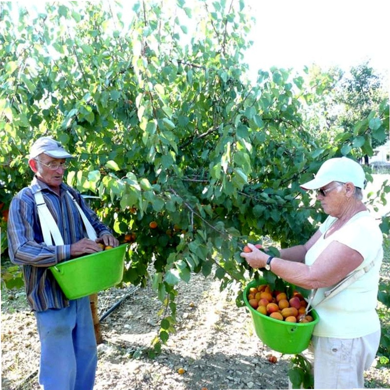 Panier De Récolte Ovale Moyen Esschert Design – Fil Métal Galvanisé Et Poignées Bois