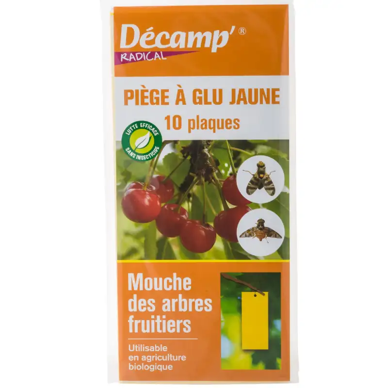 Piège naturel à glu contre les mouches d'arbres fruitiers